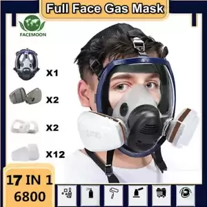 Chemical Mask Reusable Anti-Dust Respirator Safety Industrial 6900 Gas Mask PPE
